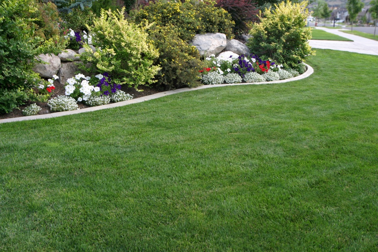 landscaping in gainesville, ga