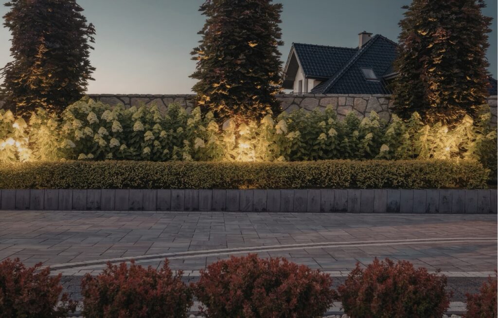 landscape lighting